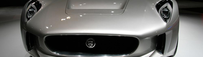 Jaguar cover photo