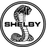 Shelby avatar
