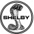 Club logo of Shelby